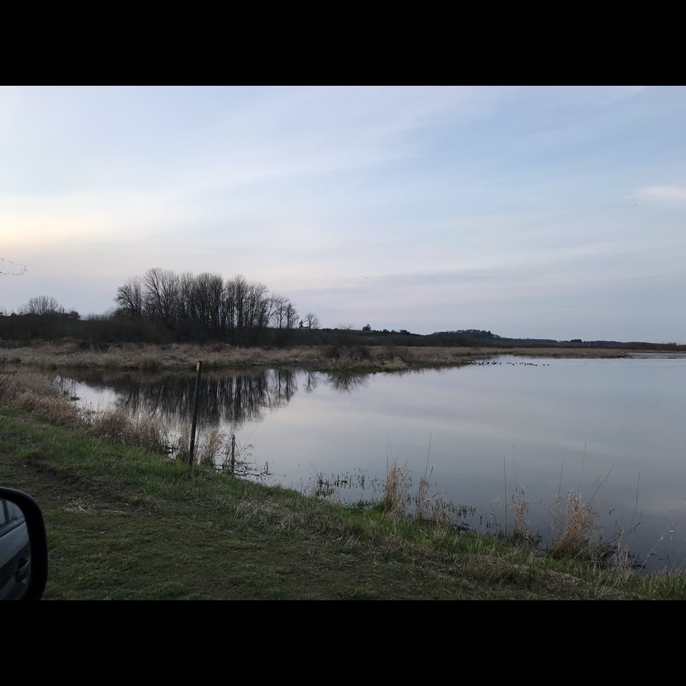 Meet your Posher, Noel